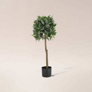 Artificial Laurus Tree In Pot 35*35*90 cm