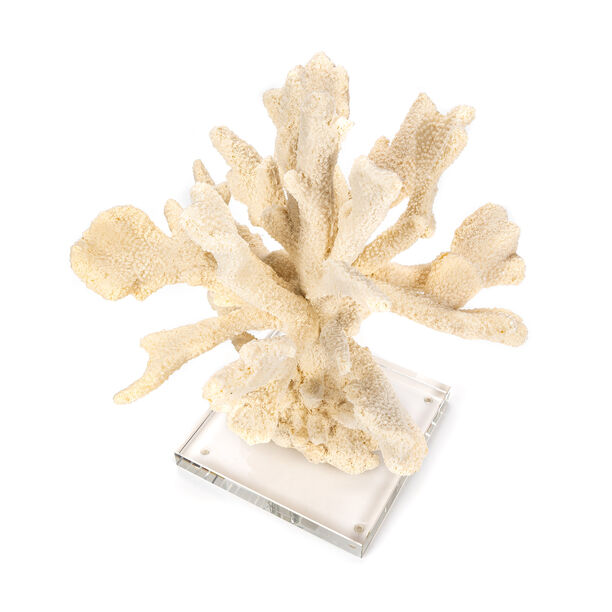 Home Accent Coral On Crystl Base Base Cream image number 2
