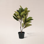 Artifical Magnolia Tree 51*51*60 cm image number 0