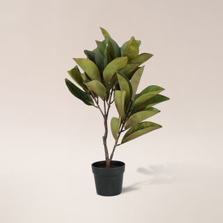 Artifical Magnolia Tree 51*51*60 cm