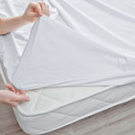 3 Pcs Cotton Fitted Sheet image number 2