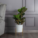Metal Planter With Gold Legs White 22*35 cm image number 0
