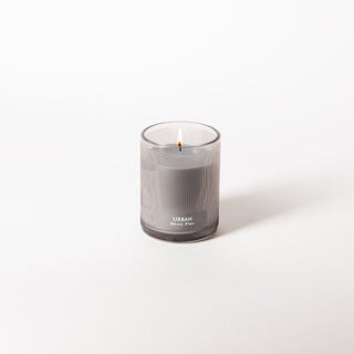 Mossy pine scented jar candle packed in folded box 220 g
