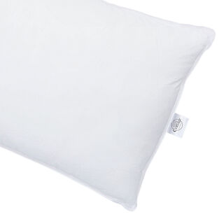 Boutique Blanche white mircofiber pillow
