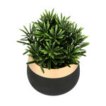 Artificial Plant Succulent In Cement Pot Green image number 2